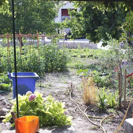 Apartamento With A Parking Space - 5096 Murter